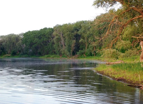В Волго-Ахтубинской пойме расчистят еще 16 ериков и озер