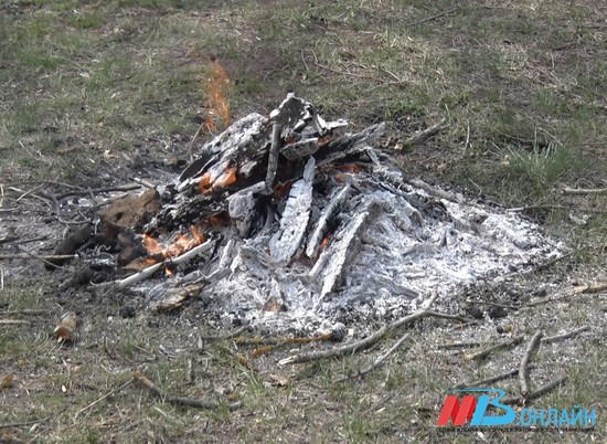 Какие штрафы за сжигание мусора и пал сухой травы установлены в Волгоградской области