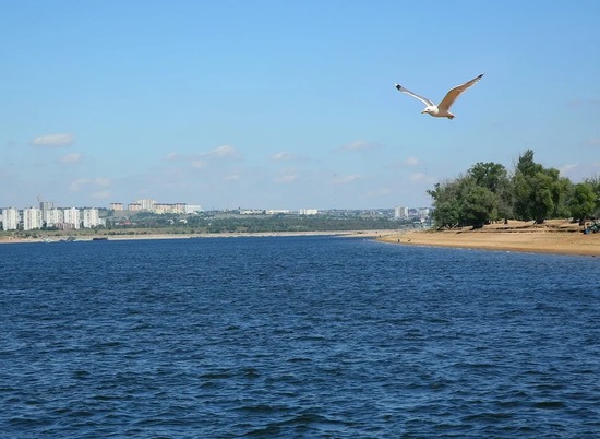 Волгоградское МЧС сообщило об усилении ветра