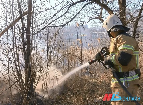 В Волгоградской области сгорели 3 тонны сена