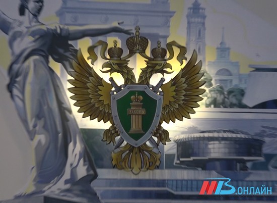 Директор фирмы в Волжском идет под суд за махинации на 100 000 рублей