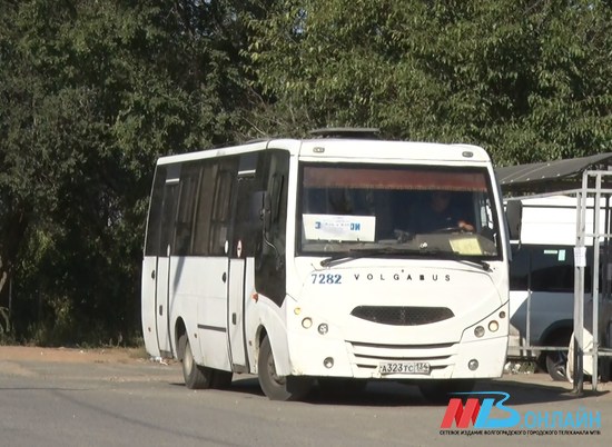 Администрация Камышина пересчитала автобусы и маршрутки
