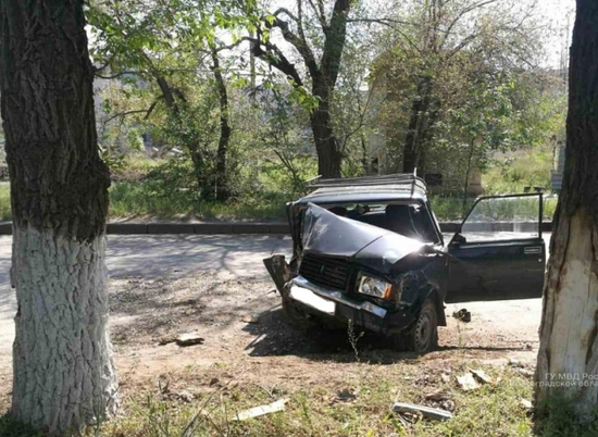 На юге Волгограда водитель ВАЗа погиб, врезавшись в дерево
