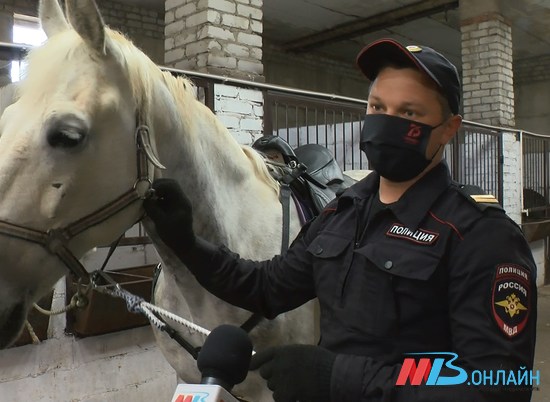За порядком на Мамаевом кургане в Волгограде следит конная полиция