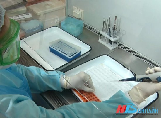 В Волгограде выявлено большинство новых случаев коронавируса