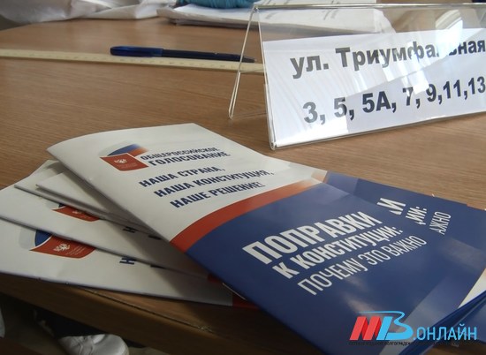 Волгоградцы активно включились во всероссийское голосование