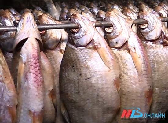 Более 100 тонн рыбы изъяли у браконьеров в Волгоградской области