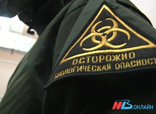 В Волгоградской области зафиксирован 91 новый случай заражения COVID-19