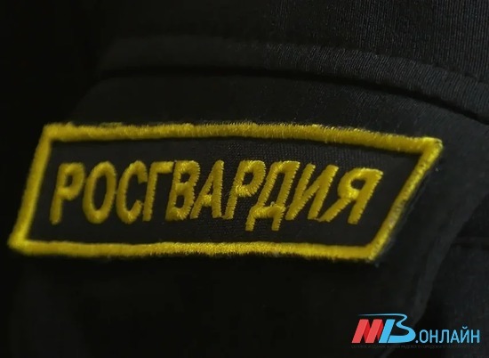 В Волгограде росгвардейцы задержали подозреваемых в хищении имущества