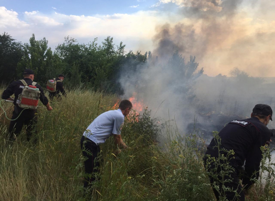 Масштабный пожар в Волгоградской области произошел из-за непотушенного окурка