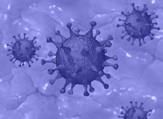 В мире зафиксировано рекордное количество зараженных коронавирусом