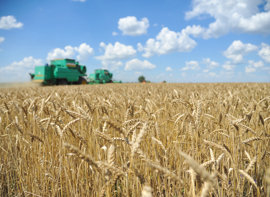 В Волгоградской области собрали 2,2 миллиона тонн зерна