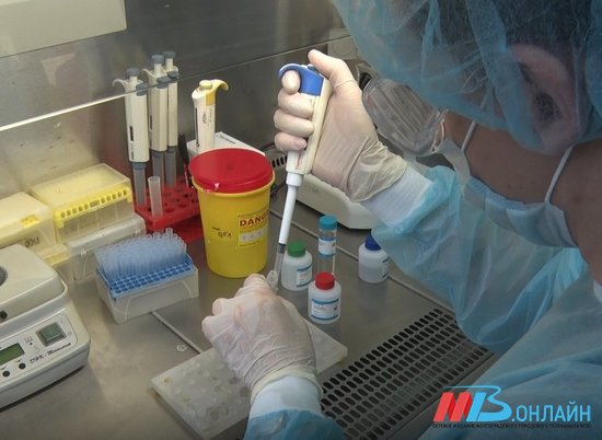 Еще 89 новых случаев коронавируса обнаружили в Волгоградской области