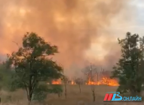 В Волгограде попал на видео крупный пожар в Советском районе