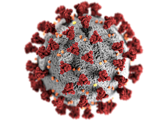 Иммунитет к SARS-CoV-2 обнаружен у не болевших коронавирусом людей