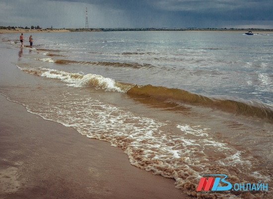 Четверо иностранных студентов утонули на волгоградском пляже на Бобрах