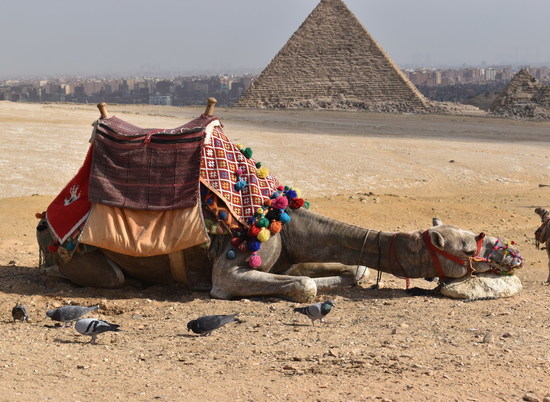 Египет не требует тесты на COVID-19 при прибытии в курортные города