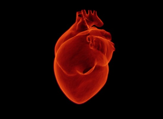 Ученые вырастили работающую модель сердца человека из стволовых клеток