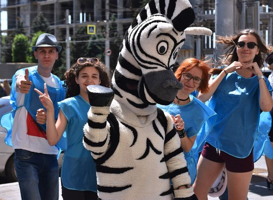 Веселая зебра напомнит волгоградским водителям о школьниках