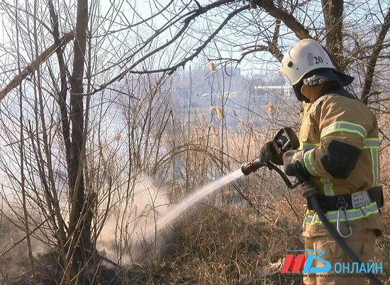 Под Волгоградом за минувшие сутки ликвидировали лесной пожар