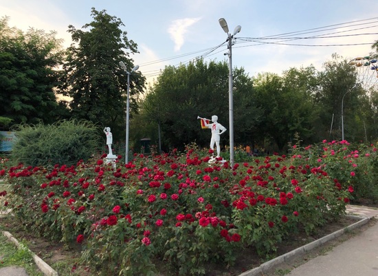 В Волгограде последний день лета будет жарким