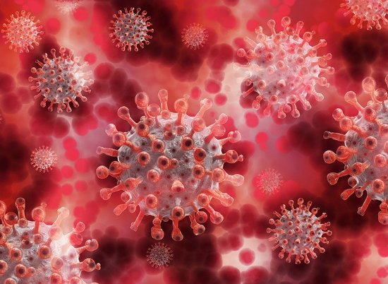 Ученые проверили выживаемость коронавируса в разное время года