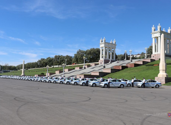 Для волгоградской полиции закупили 58 новых иномарок