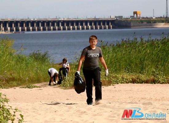 Школьники на скорость очистили берег Волги в Волгограде от мусора