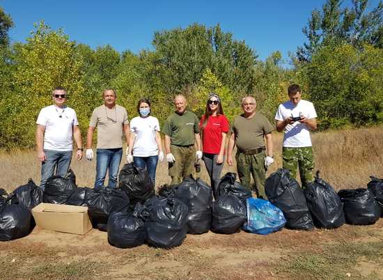 Активисты собрали 21 мешок мусора у ерика Гнилой под Волгоградом
