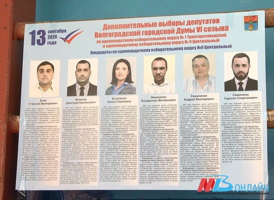 Подведены предварительные итоги выборов в Волгоградской области