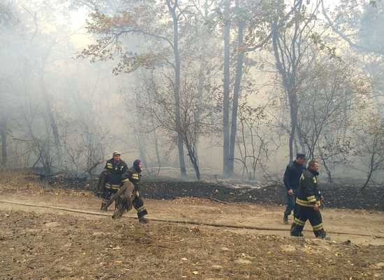 В Урюпинском районе спасли от ландшафтного пожара хутор и лагерь