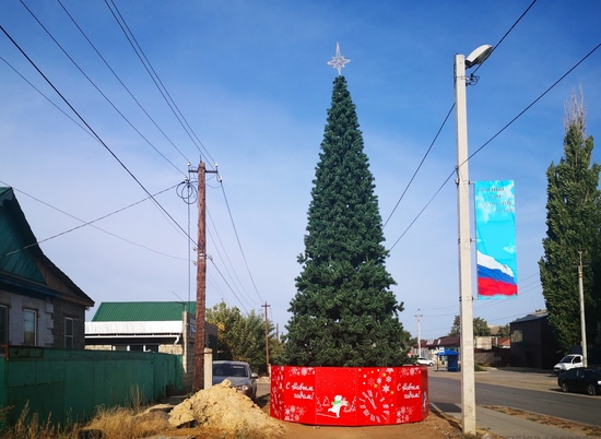 В центре Калача-на-Дону установили новогоднюю ёлку