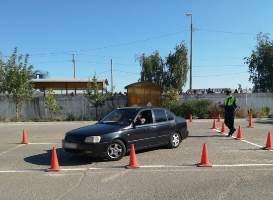 В Волгограде по вине неопытных водителей произошло 66 ДТП