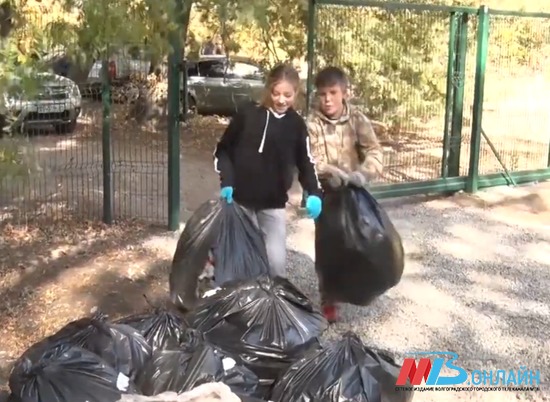 Волгоградские волонтеры очистили Волго-Ахтубинскую пойму от мусора