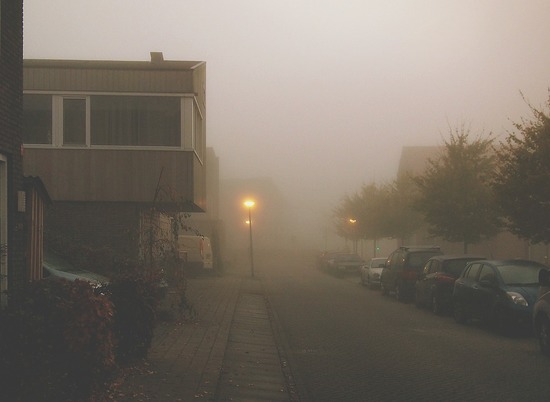 В Волгоградской области будет небольшое потепление и туман