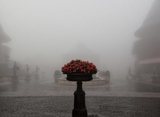 В Волгоградскую область грядут похолодания и туман