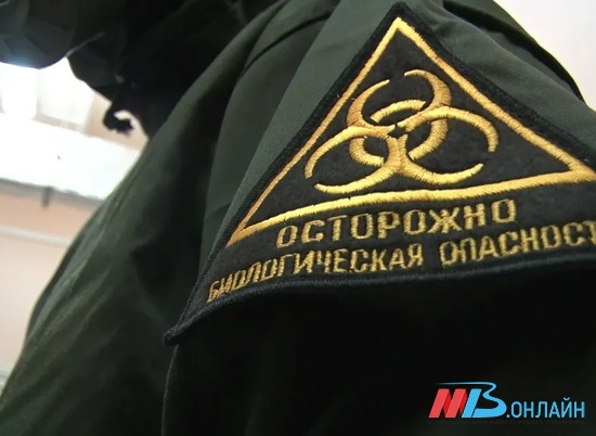За сутки 215 жителей Волгоградской области заразились COVID-19, двое умерли