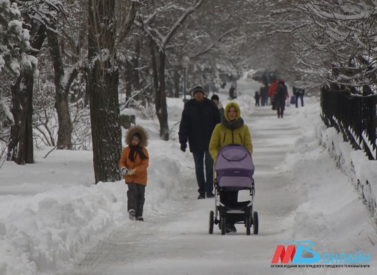 Первый снег выпадет в Волгоградской области на следующей неделе