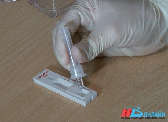 Новые случаи коронавируса выявили в Волгограде, Волжском и 9 районах