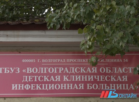 В Волгограде умерла заразившаяся бешенством 9-летняя девочка