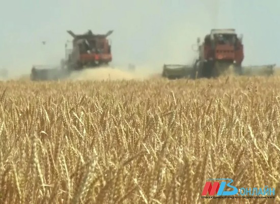 На экспорт с начала года направили миллион тонн волгоградского зерна