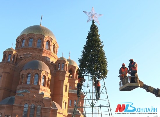 В Александровском саду Волгограда впервые устанавливают 12-метровую елку