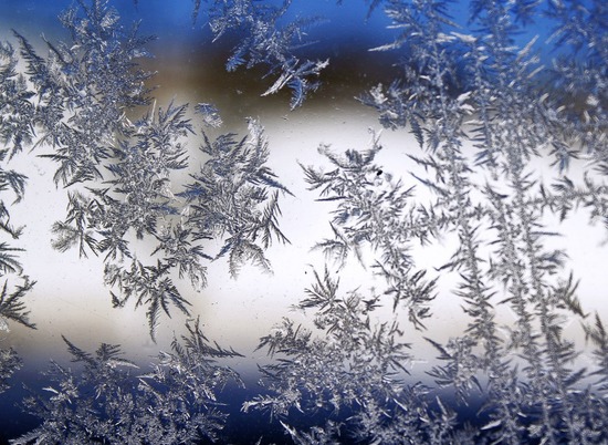 Будет ветрено: синоптики рассказали о погоде в Волгограде на 13 декабря