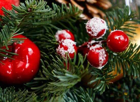 Опубликованы новые требования к установке новогодней елки
