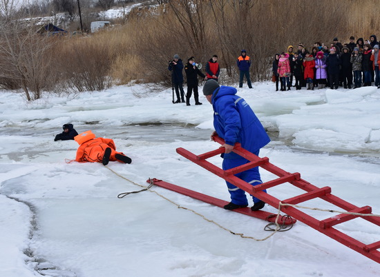 В Волгоградской области в этом году провели 484 рейда на водоемах