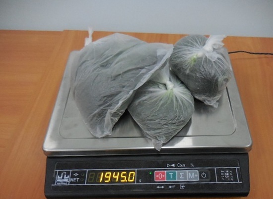 В аэропорту Волгограда у пассажиров нашли 10,5 кг «насвая»