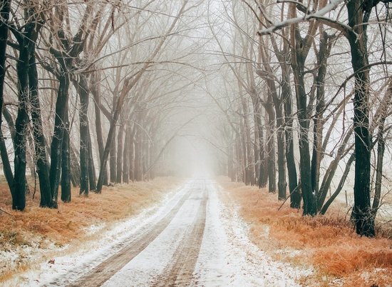 Ветер, туман, гололед и -23º ожидаются в Волгоградской области 25 декабря