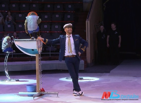 Волгоградский цирк показал первое представление с начала ограничений