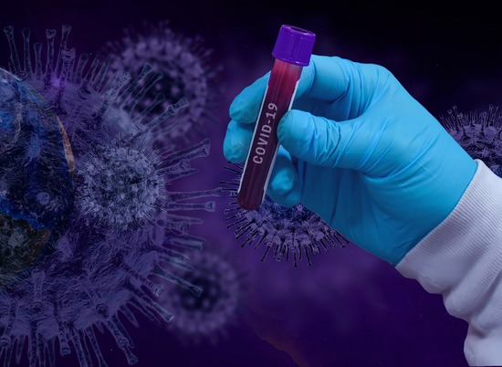 В Волгограде, Волжском и 22 районах выявили новые случаи коронавируса