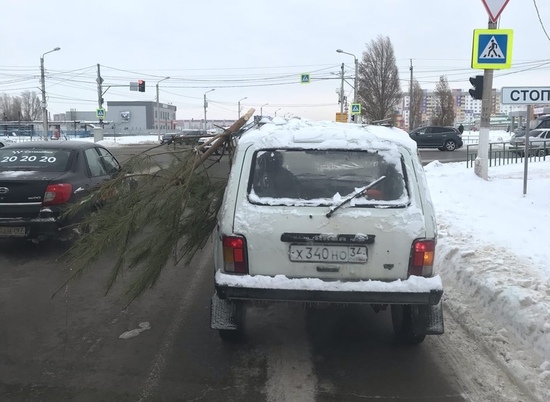 На дорогах Волгограда заметили Ниву с ёлкой в окне
